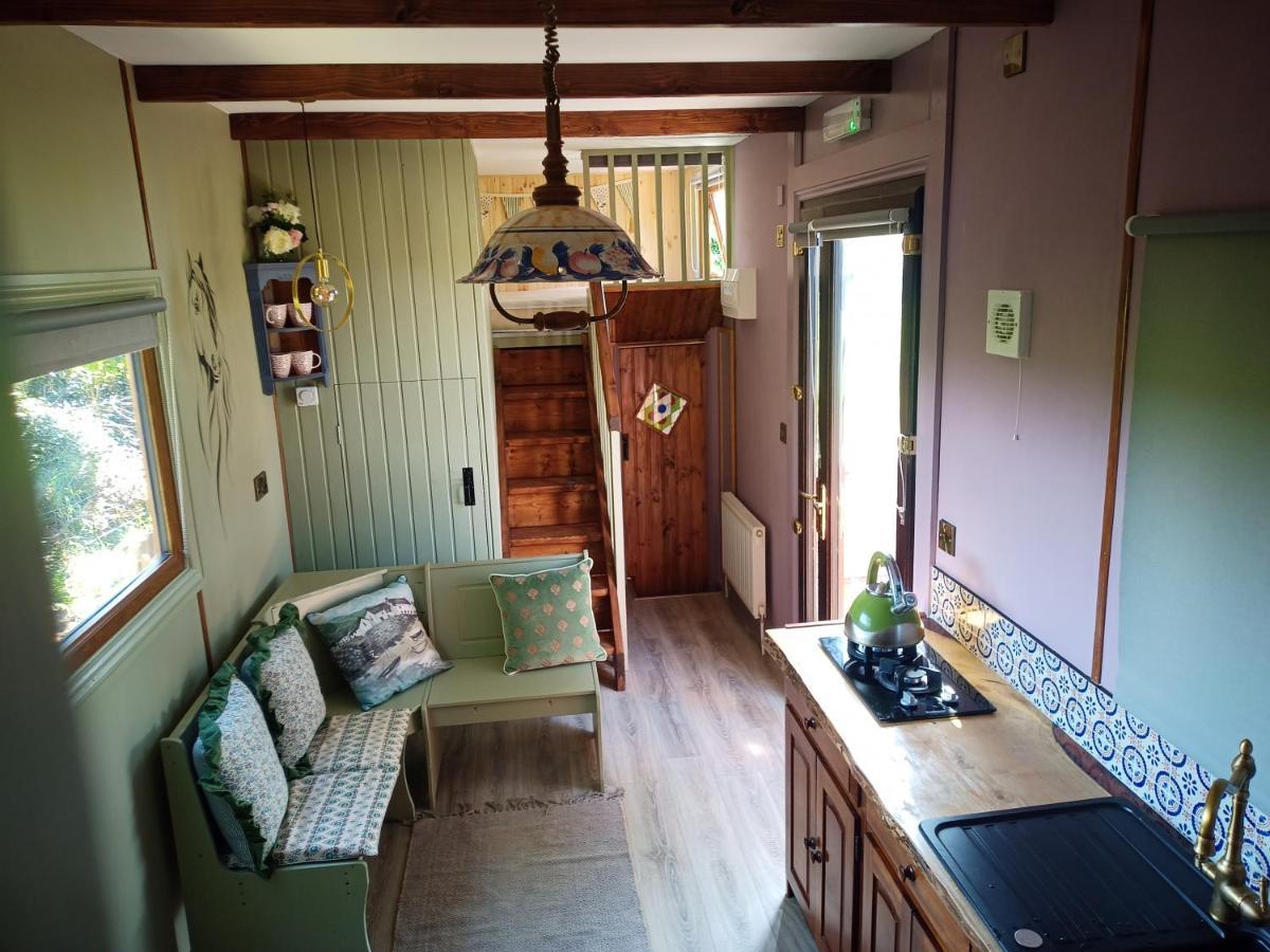 Glasson Glamping Farm Villa Athlone Eksteriør billede